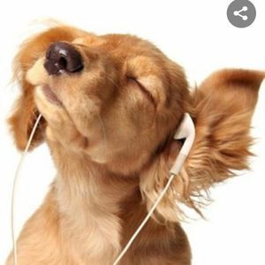 Meet your Posher, Kaydence